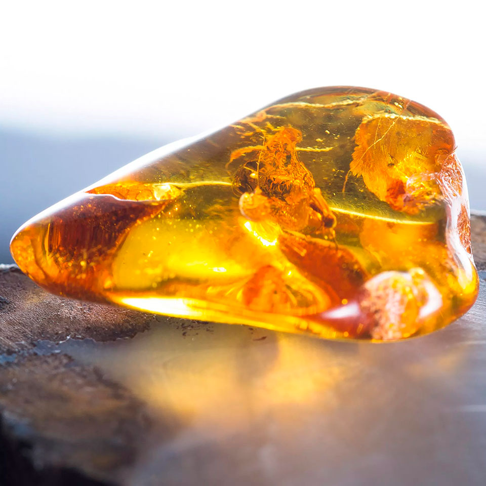 Камень янтарь — магические и лечебные свойства минерала, каких видов ицветов бывает