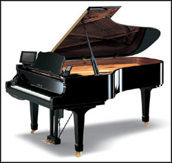    Yamaha