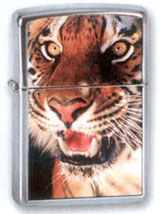  Zippo