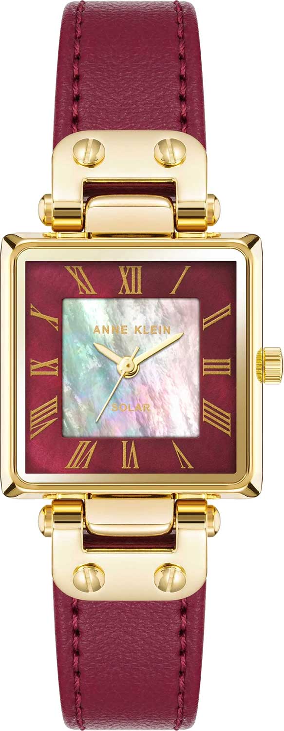 Наручные часы Anne Klein 3896GPBY