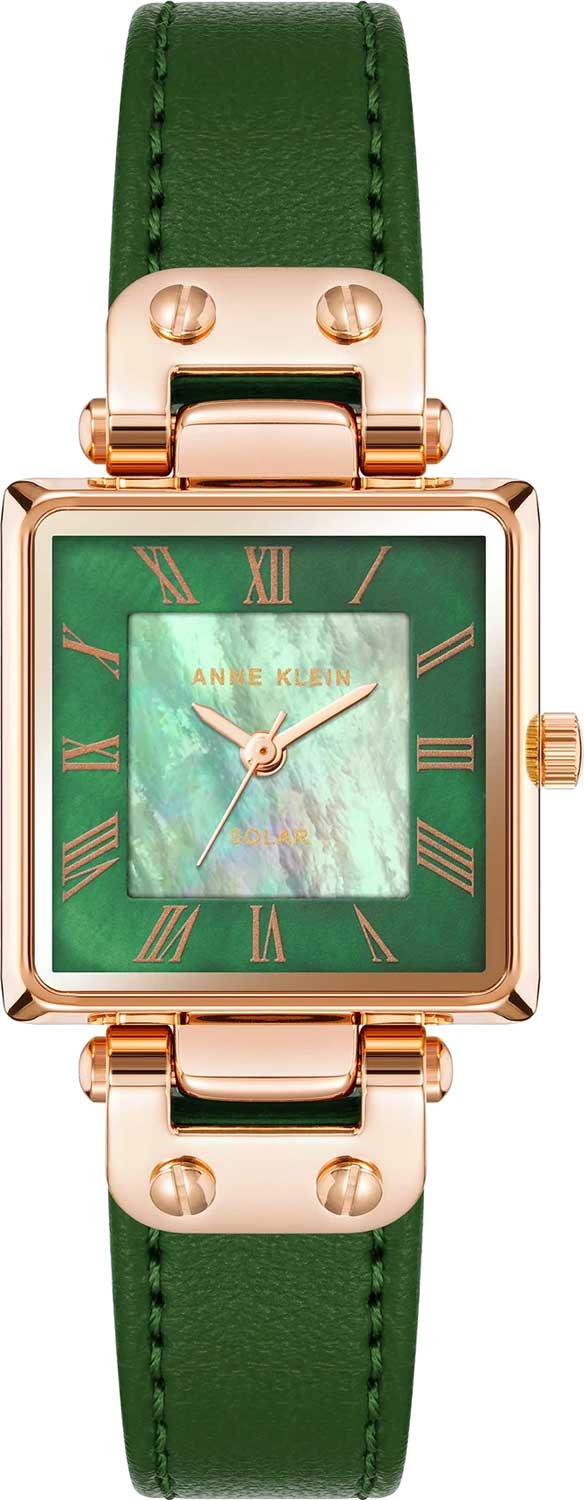Женские часы Anne Klein 3896RGGN
