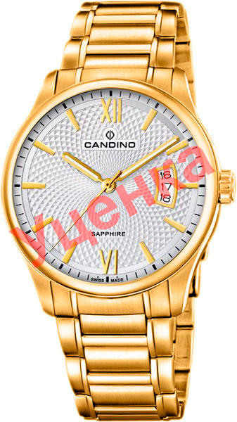 Мужские часы Candino C4692_1-ucenka