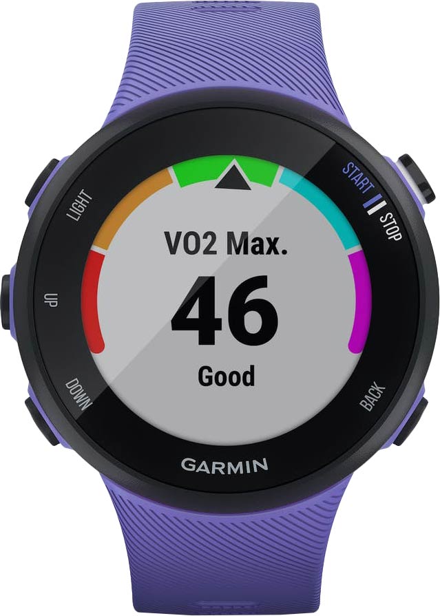 Спортивные наручные часы Garmin Forerunner 45S Iris Small GPS 010-02156-11