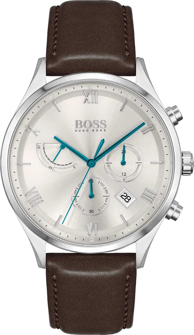 Мужские часы Hugo Boss HB1513889