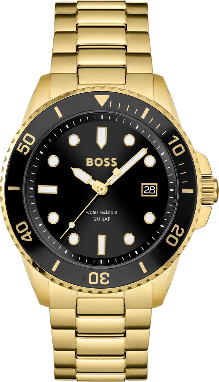 Мужские часы Hugo Boss HB1513917