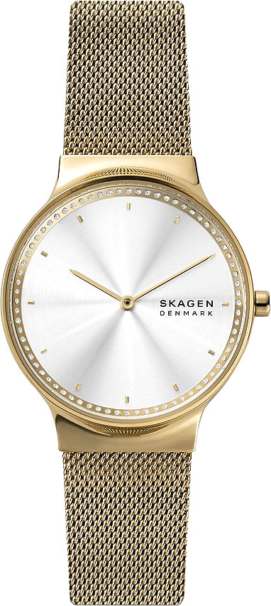 Наручные часы Skagen SKW1148