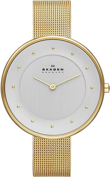 Наручные часы Skagen SKW2141
