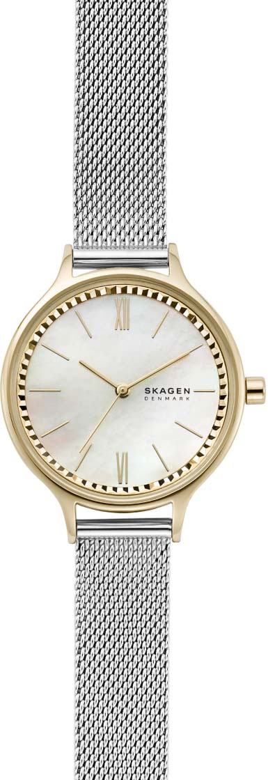 Наручные часы Skagen SKW2866