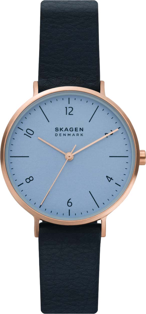 Наручные часы Skagen SKW2972
