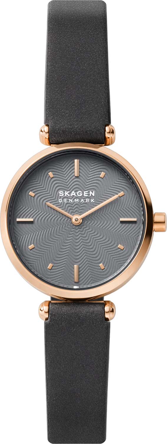 Наручные часы Skagen SKW2995
