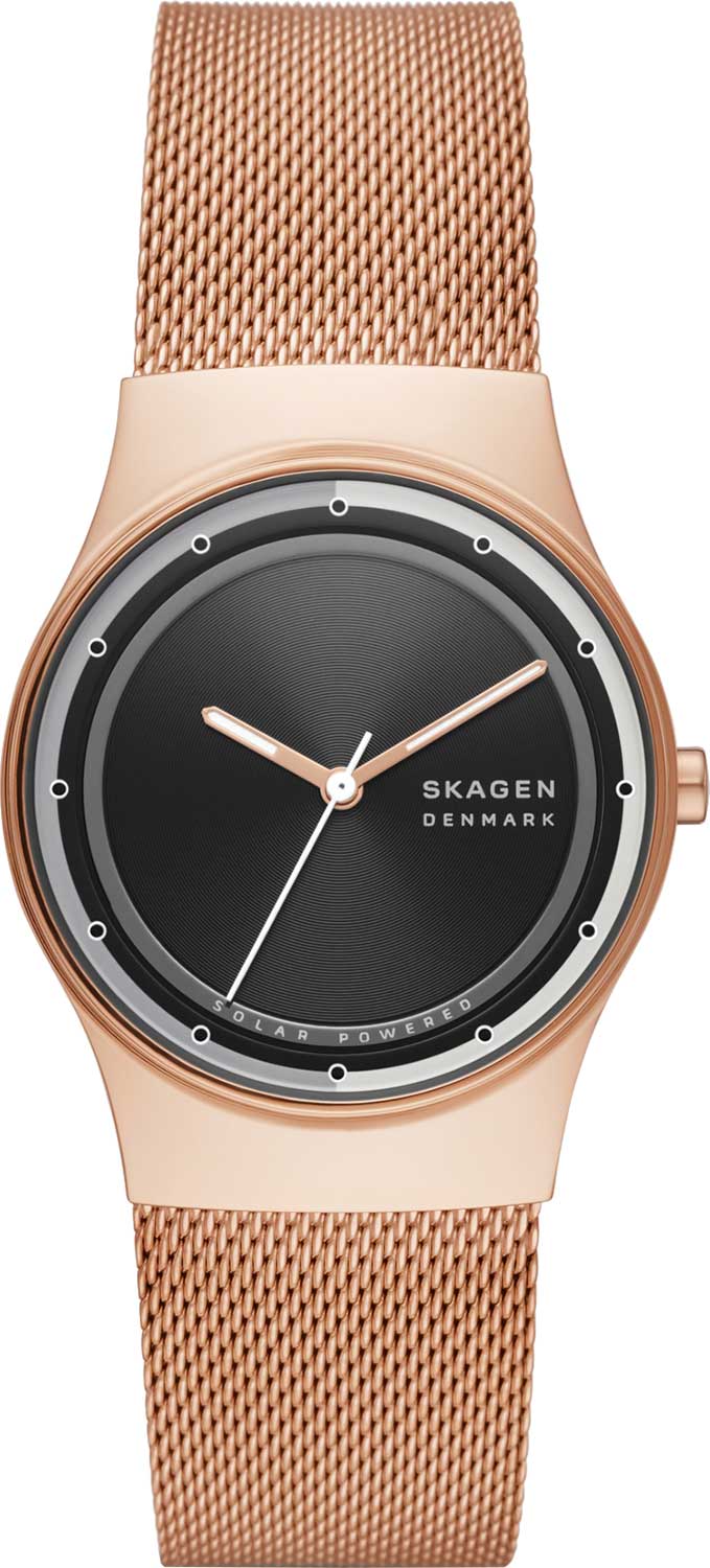 Наручные часы Skagen SKW3023