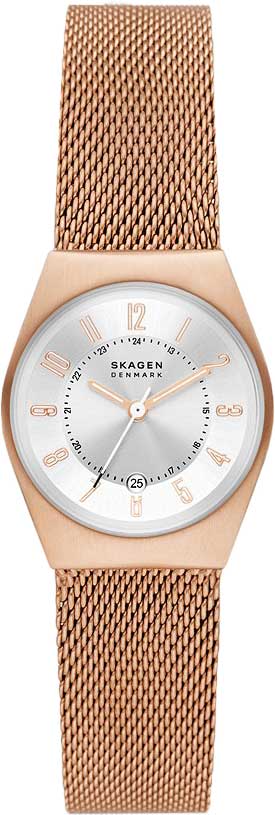 Наручные часы Skagen SKW3035