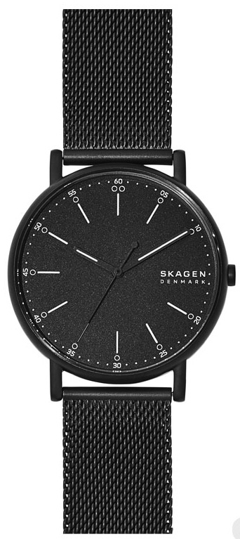 Мужские часы Skagen SKW6579