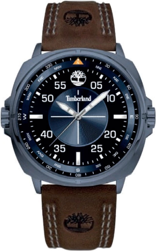 Наручные часы Timberland TDWGA2132001