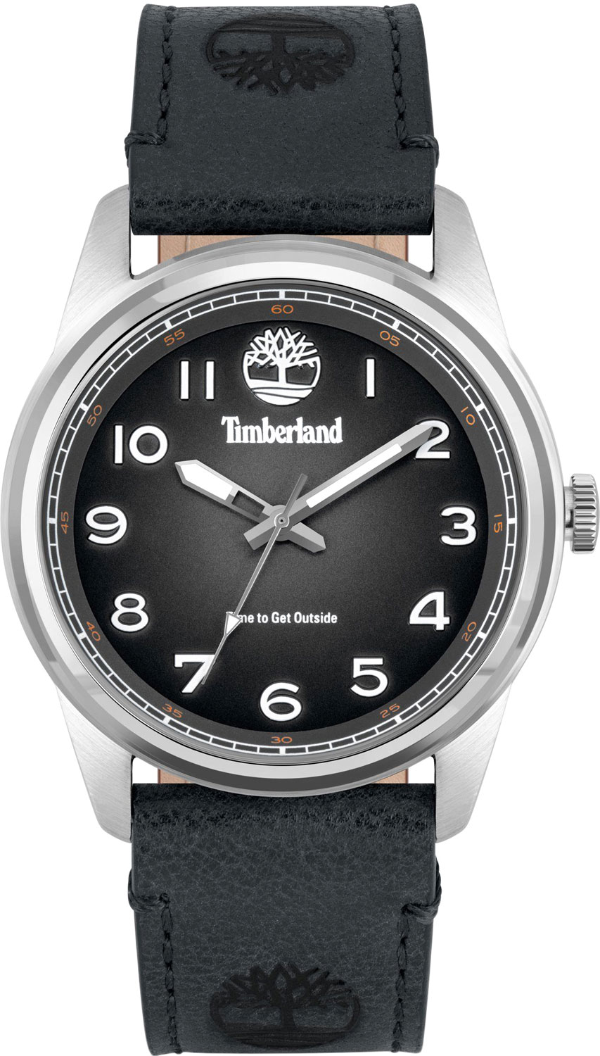 Наручные часы Timberland TDWGA2152101