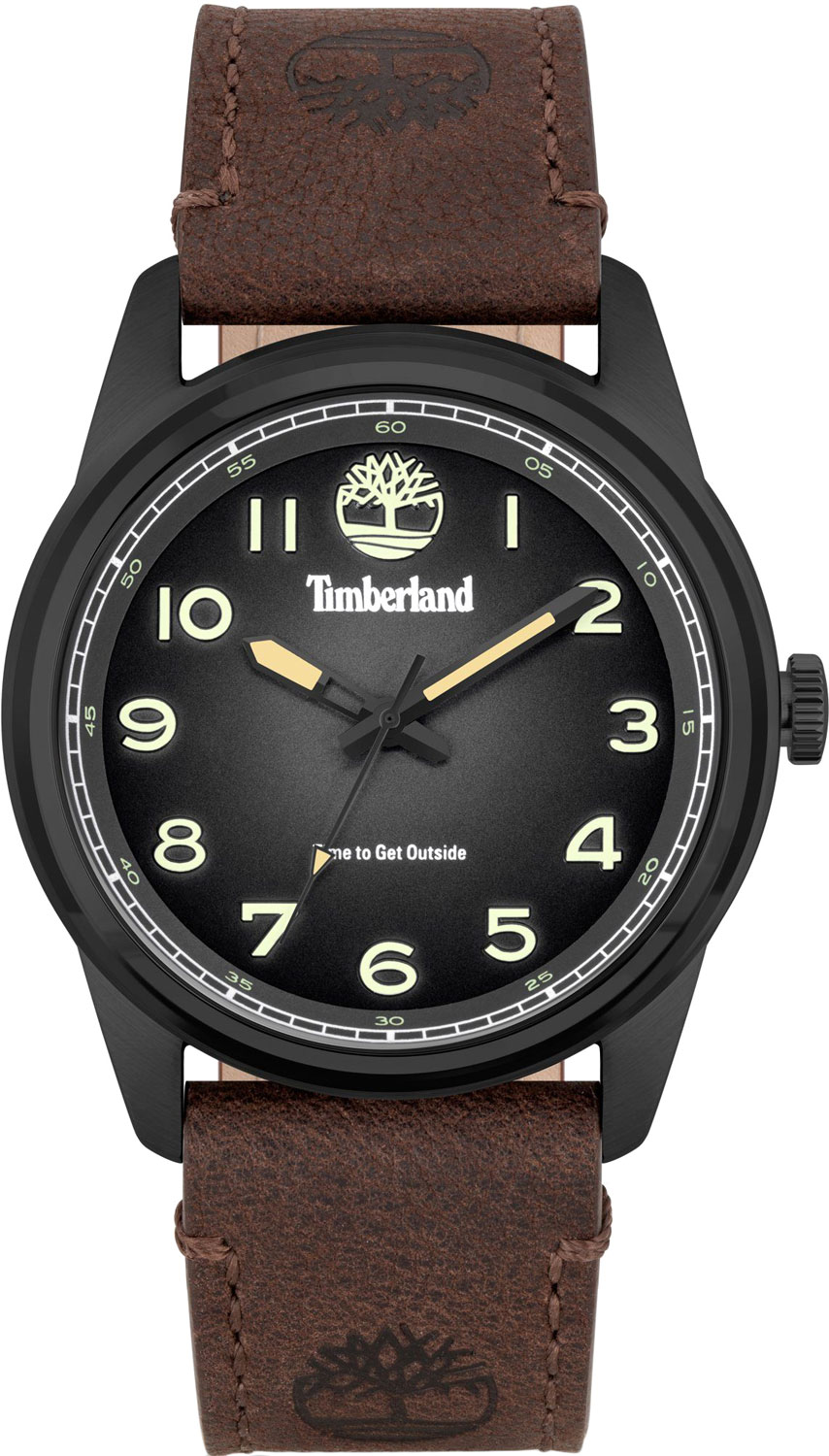 Наручные часы Timberland TDWGA2152104