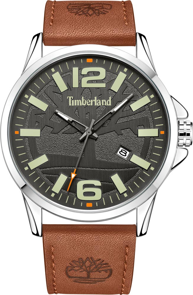 Наручные часы Timberland TDWGB2131801