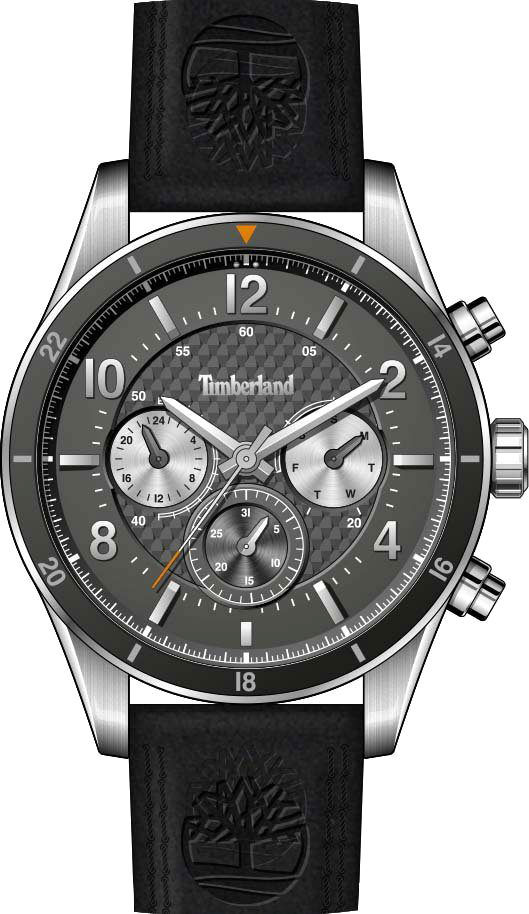 Наручные часы Timberland TDWGF2201001