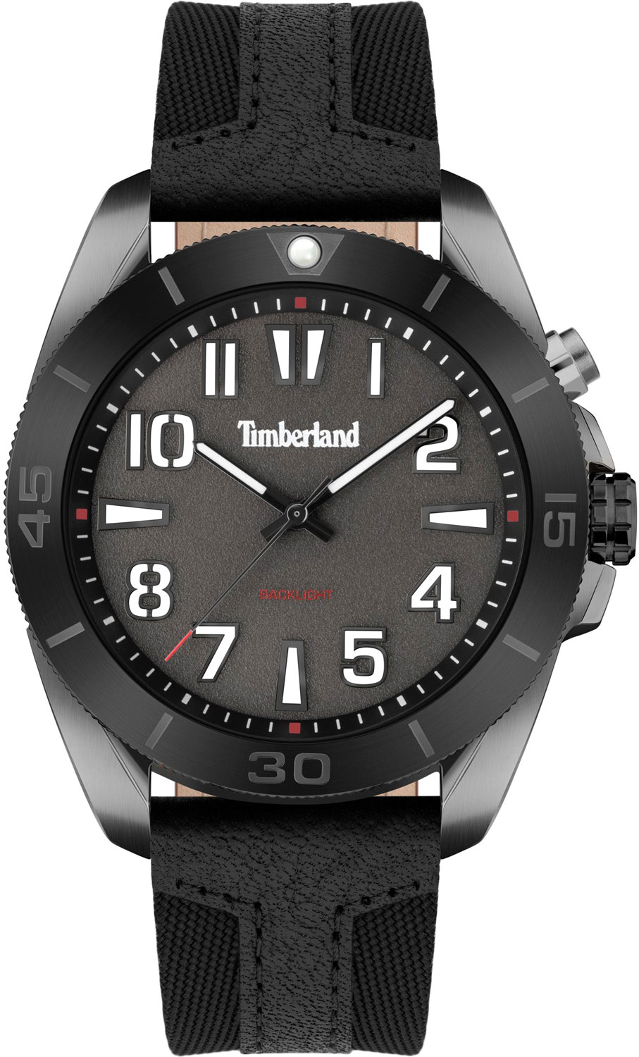 Наручные часы Timberland TDWGP2201601