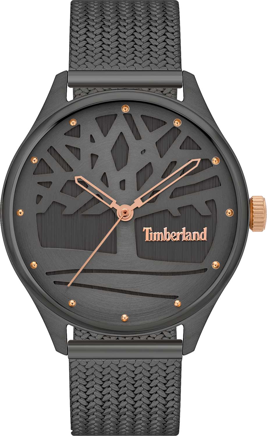 Наручные часы Timberland TDWLG2200301