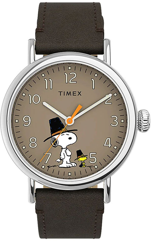 Наручные часы Timex TW2U86100